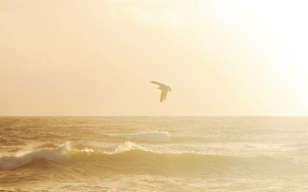 When Anticipatory Grief Needs More Space: Why Counseling Intensives Help You Accept