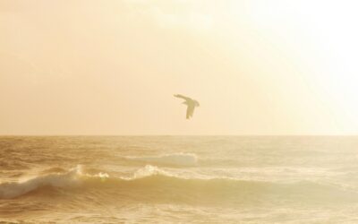 When Anticipatory Grief Needs More Space: Why Counseling Intensives Help You Accept